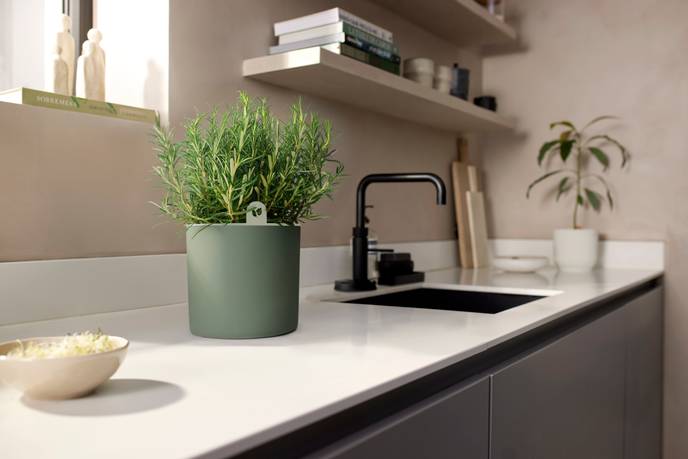 happy herbs 14cm leaf green